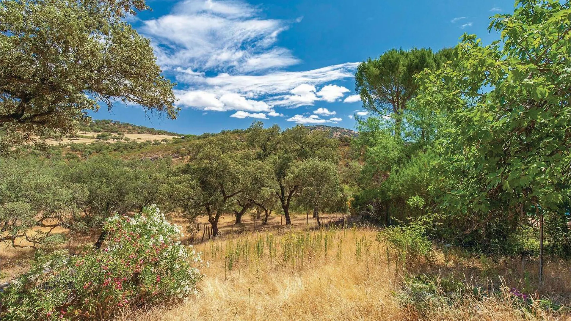 度假居 3 Bedroom Nice Home In Higuera De La Sierra